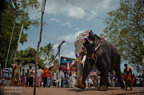 Irinjalakuda: Koodalmanikyam Utsavam 2013