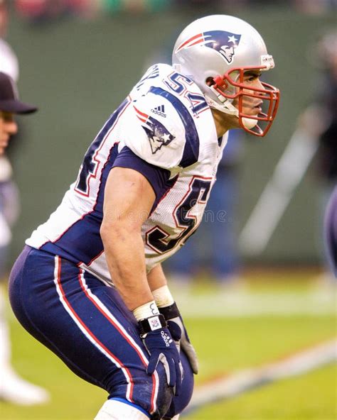 Tedy Bruschi New England Patriots Editorial Photo - Image of football ...