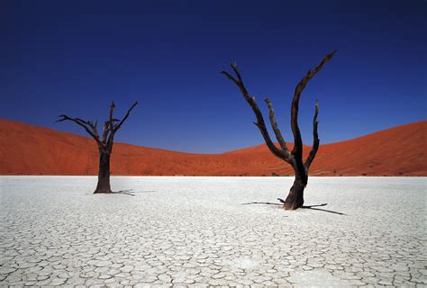 Sossusvlei of Namibia | Flickr Blog