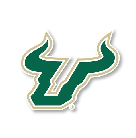University of South Florida USF Bulls NCAA Collegiate 4 Inch | Etsy