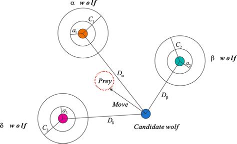 Schematic of grey wolf pack hunting | Download Scientific Diagram