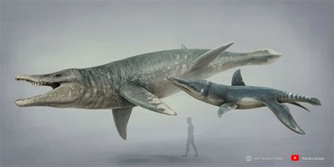 Liopleurodon Size Comparison