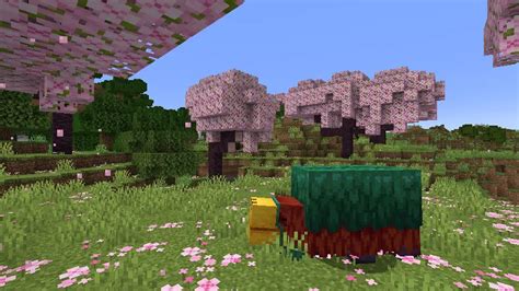 How to Find Cherry Blossom Biomes