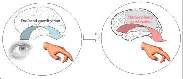 Top 5 Hand-Eye Coordination Sports and Their Health Benefits