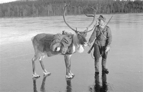 32 Amazing Vintage Photographs of Finland in World War II ~ vintage everyday