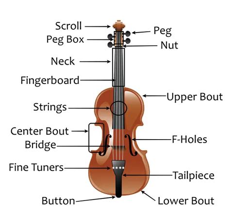 Violin Parts: Complete Piece by Piece Guide (and Bow)