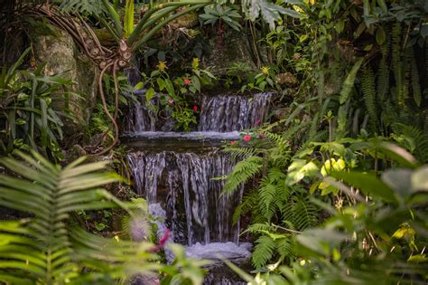 Butterfly Rainforest – Exhibits