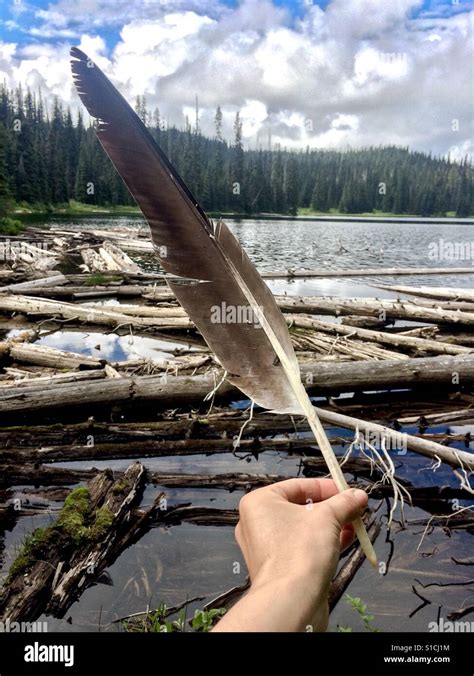 Finding an Eagle feather, must be a lucky day Stock Photo - Alamy