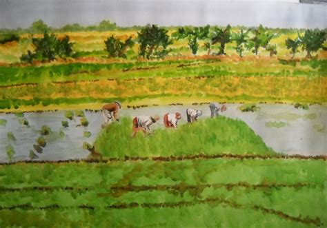 Rice Field Painting at PaintingValley.com | Explore collection of Rice ...