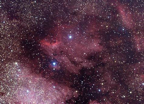 Pelican Nebula : r/astrophotography