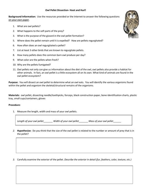 Owl Pellet Dissection Worksheet - A Owl Pellet Dissection Worksheet is ...