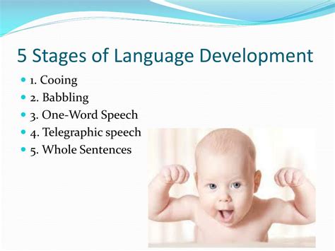 Five Stages Of Language Development