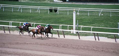 Tips for going to Belmont Stakes - Creative Travel Guide