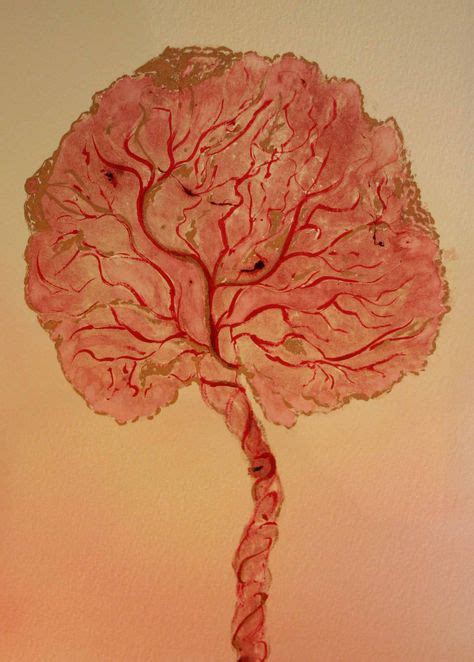 12 Placenta Art & Prints ideas | placenta, prints, placenta encapsulation