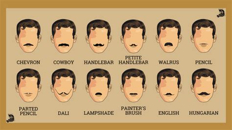 Mustache Styles: The Ultimate Guide on Mustache Styling