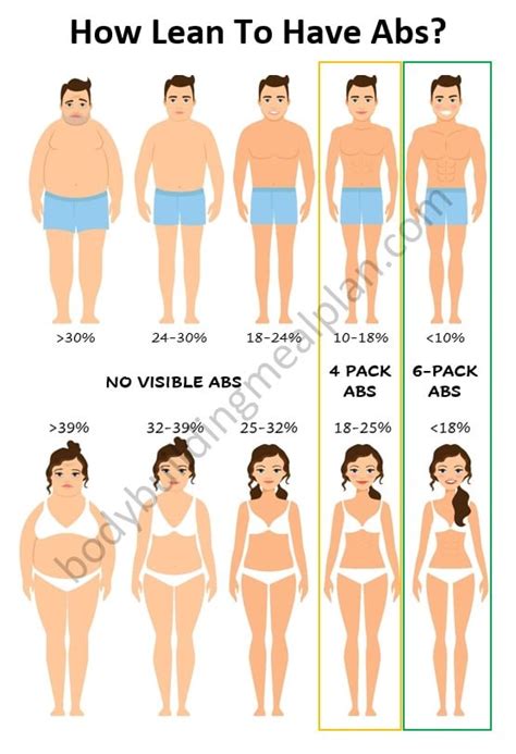 4 Pack Abs vs 6,8,10 Pack: Men & Women Genetics, Body Fat Percentage