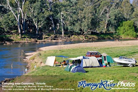 Caring for our Murray River National Parks for the future