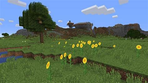 What are Plains in Minecraft?