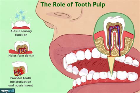 Tooth Pulp Function and Inflammation