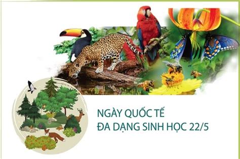 Vietnam sustainably conserves and exploits biodiversity