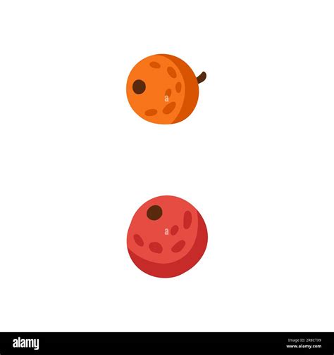 Colon punctuation mark of berries, autumn font element isolated two cartoon rosehips. Vector ...