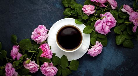 Wallpaper : cup, flowers, plants, coffee 1919x1059 - WallpaperManiac - 1791873 - HD Wallpapers ...