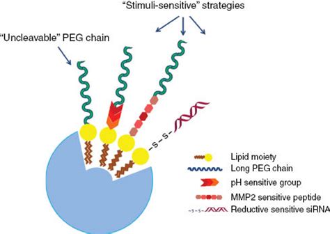 Recent advances in siRNA delivery