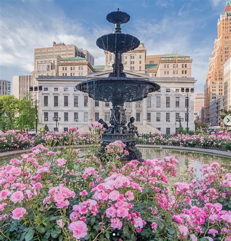 a fountain surrounded by pink flowers in front of buildings