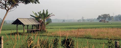 Badan Kebijakan Fiskal - Pemerintah Berikan Kemudahan Pajak bagi Sektor Pertanian