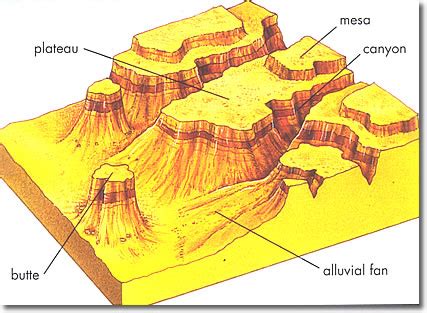 Landforms - Desert Biome