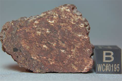 NWA 8669 Ureilite Meteorite (A. Irving and S. Kuehner, UWS) Coarse grained assemblage of olivine ...