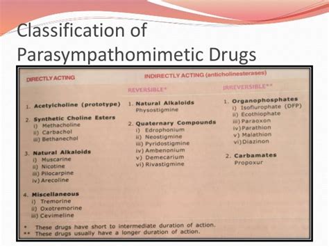 Cholinergic system and drugs