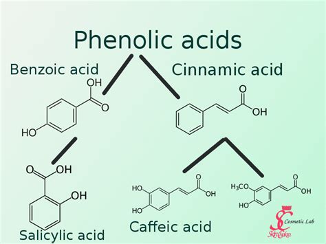 Plant Extracts 101(Part V): Phytochemicals in cosmetics: Polyphenols ...