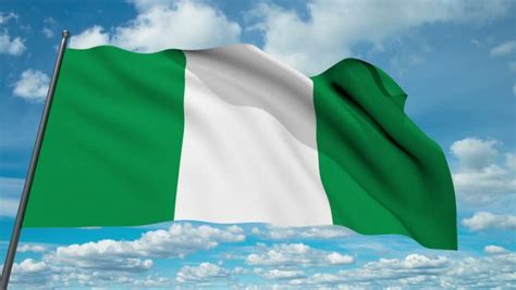 History of Nigerian Flag (2020 Latest Update) - HyNaija