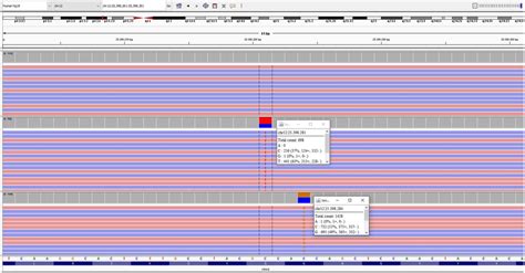 Sample with wild-type KRAS (above), other sample with codon 13 mutation ...