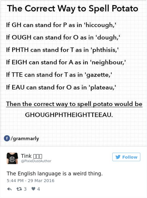 30+ Hilarious Reasons Why The English Language Is The Worst