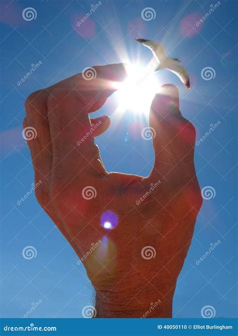 Hand Reaching for Sun stock photo. Image of light, hope - 40050110