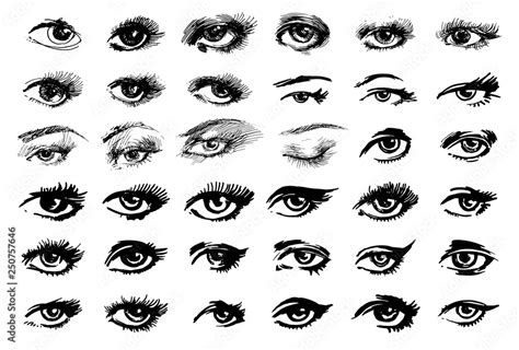 Beautiful woman eyes vector ink drawing. illustration. Black white Set ...