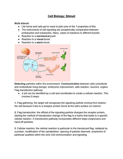 Cell Biology Stimuli - Cell Biology: Stimuli Multi stimuli: Life forms and cells got to react to ...