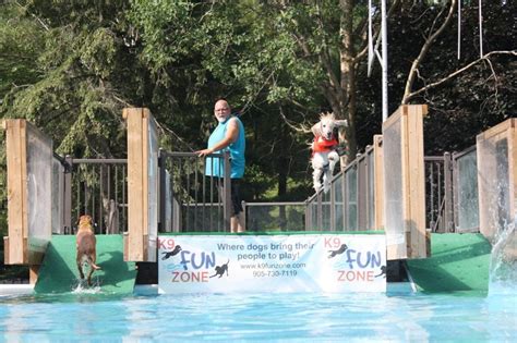 Dock Diving for Dogs: A Canine Sport That Makes a Splash