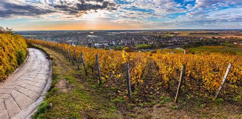 Tokaj, Hungary. Landscape of Hungarian Wine Region, Unesco World ...