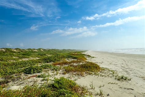 Padre Island National Seashore – The Botanical Journey