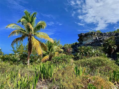 The Ultimate Eleuthera Travel Guide - Bohemian Vagabond - Jacki Ueng