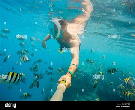 man snorkel in underwater exotic tropics paradise with fish and coral reef, beautiful view of ...