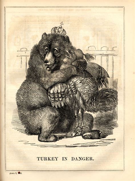 Turkey and the Russian Bear | The Crimean War in the French and British ...