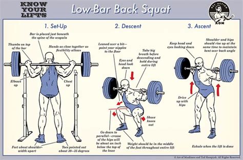 How to Low Bar Squat | The Art of Manliness