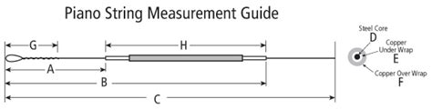 Download a piano string measurement guide and mail-in your old strings - Mapes Strings