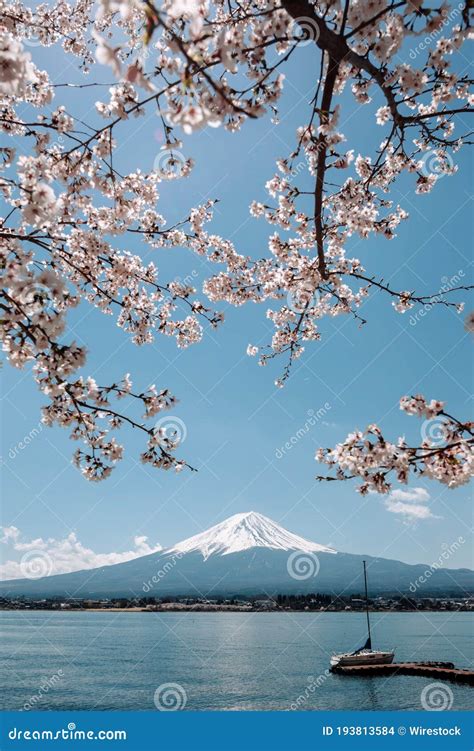 Fuji At Oishi Park Royalty-Free Stock Photo | CartoonDealer.com #62143017