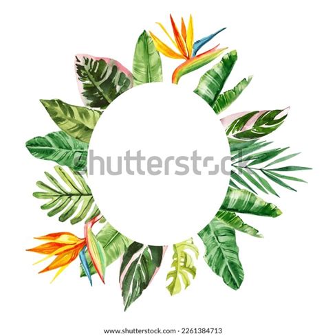 Watercolor Hand Drawn Rainforest Tropical Flowers Stock Illustration ...