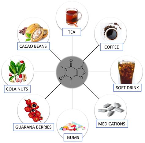 Nutrients | Free Full-Text | Caffeine as a Factor Influencing the Functioning of the Human Body ...